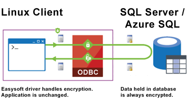 SQL Server 2016: Always Encrypted. Data encrypted on client by ODBC layer. Application remains unchanged. Data held in SQL Server / Azure SQL is always encrypted.